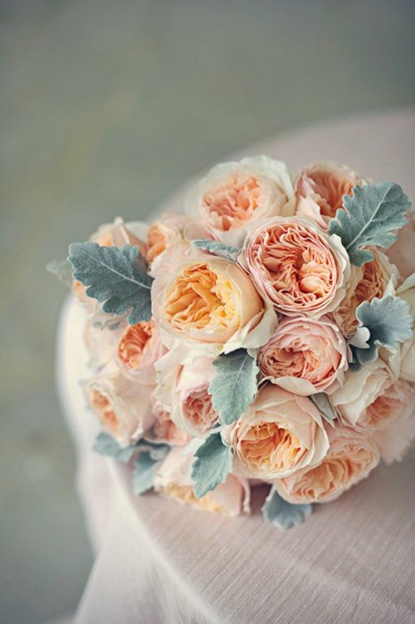 Английские розы Дэвида Остина в свадебной флористике