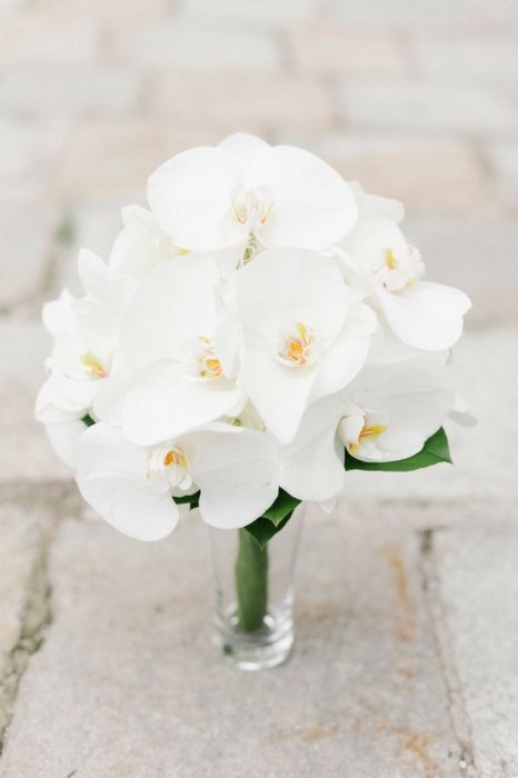 Букет невесты из белых орхидей