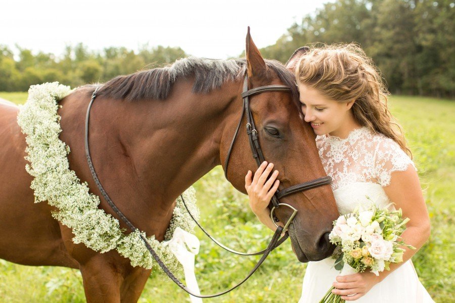 Невеста с лошадью