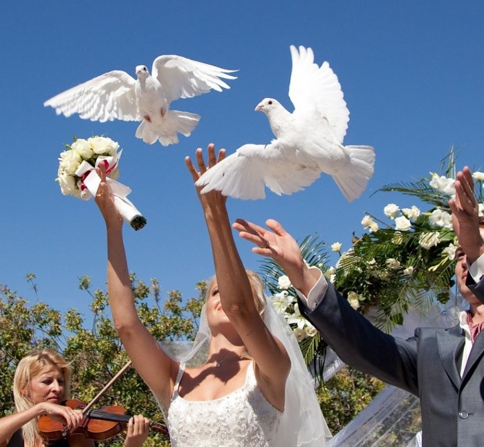Жених и невеста отпускают голубей