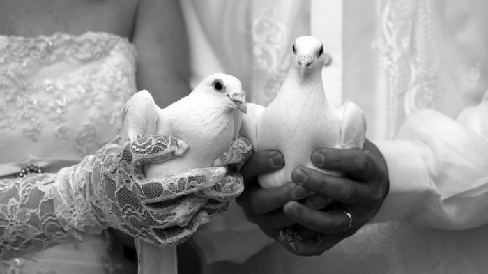 Невеста держит голубя в перчатках