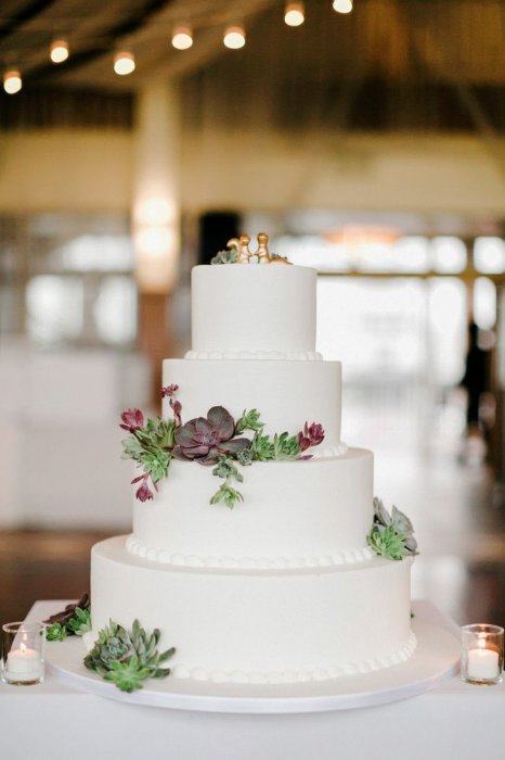 Простой и элегантный дизайн свадебного торта с суккулентами