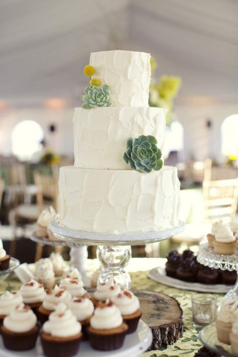 Минималистичный дизайн свадебного торта с суккулентами