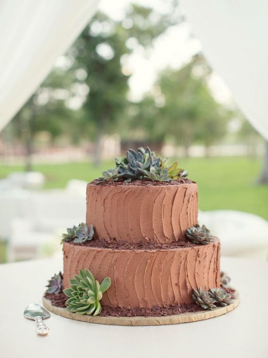 Кремовый шоколадный свадебный торт с суккулентами