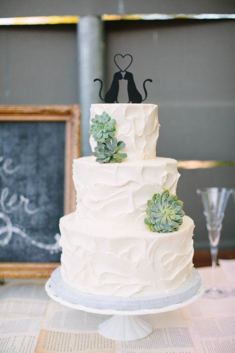 Простой и красивый свадебный торт с суккулентами