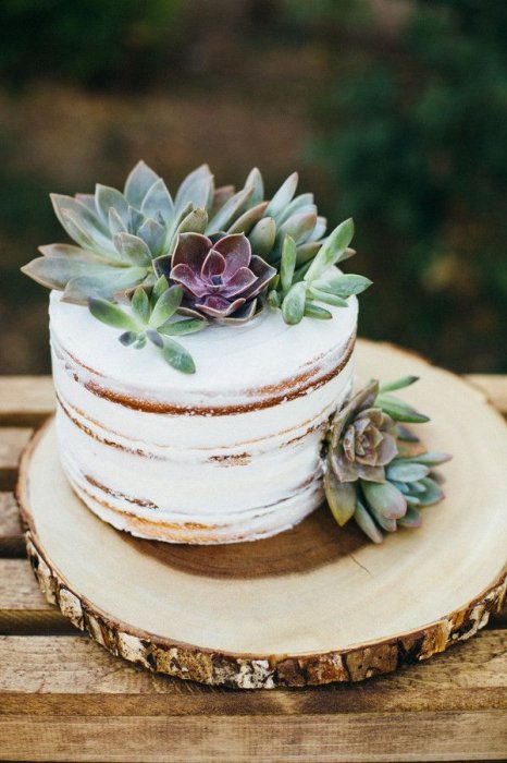 Одноуровневый свадебный торт для небольшого торжества
