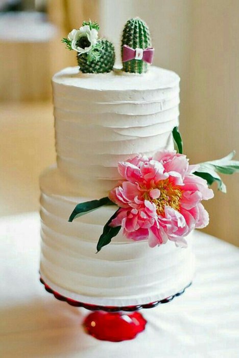 Кактусы в роли топпера для свадебного торта