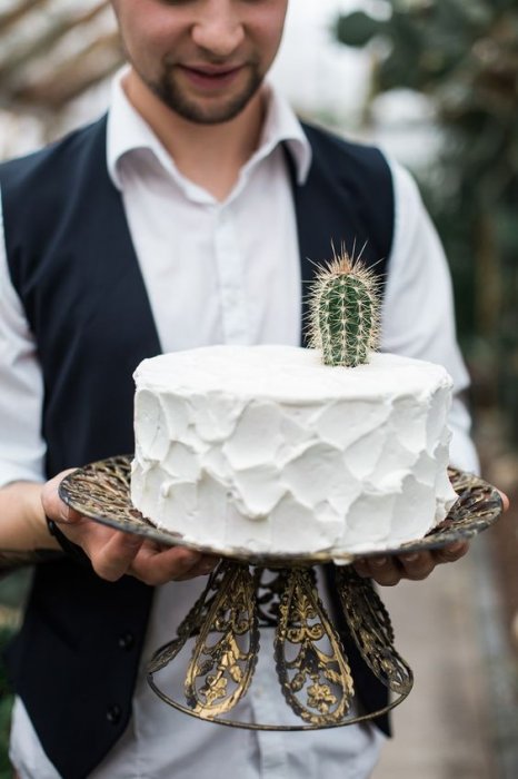 Одноуровневый свадебный торт, украшенный кактусом