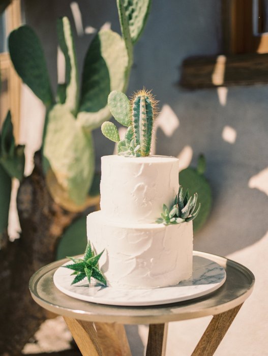 Красивый свадебный торт с кактусами
