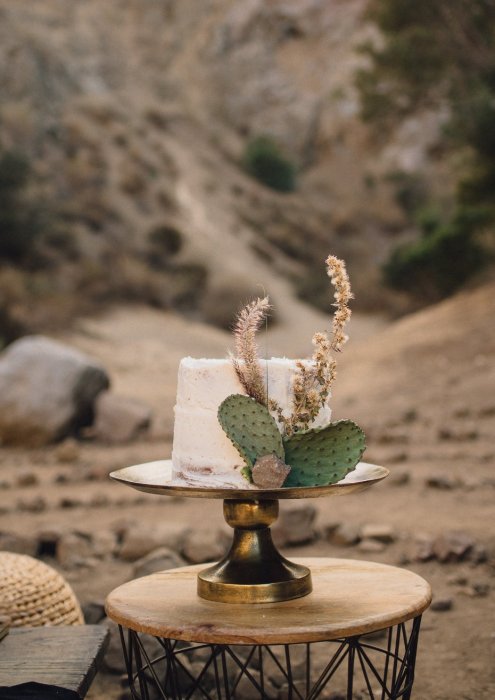 Торт с кактусами для свадьбы в стиле бохо