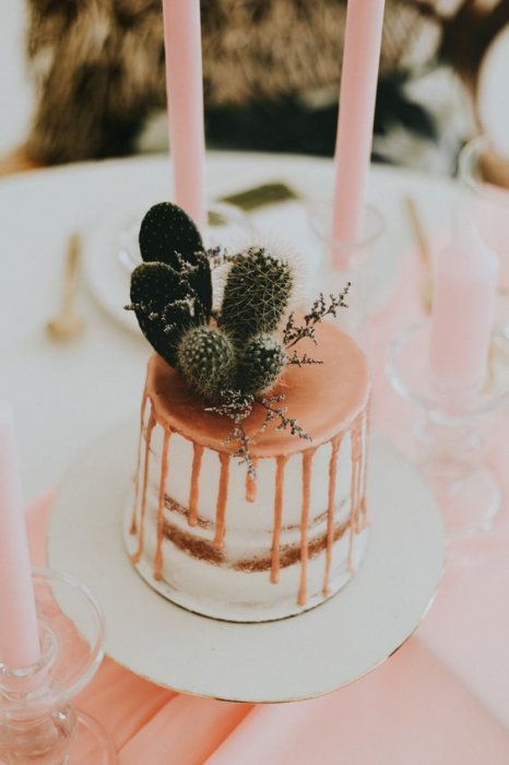 Кактусы в оформлении свадебного торта