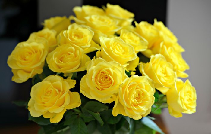 Желтые розы на свадьбу