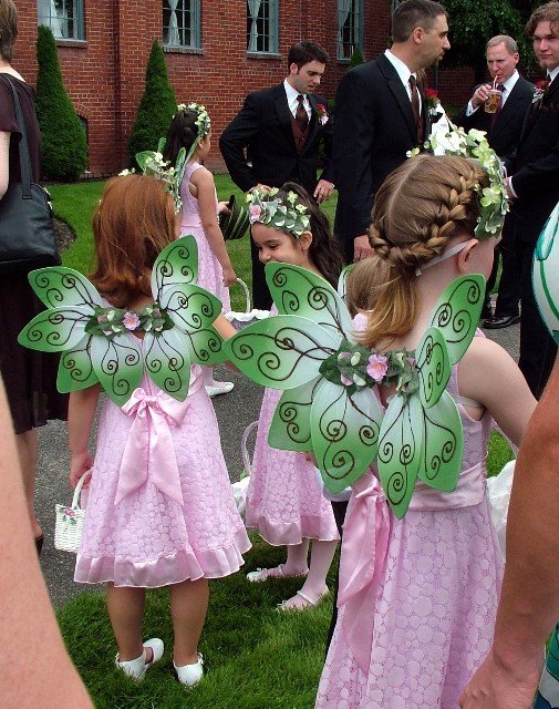 Дети на свадьбах с крыльями фей