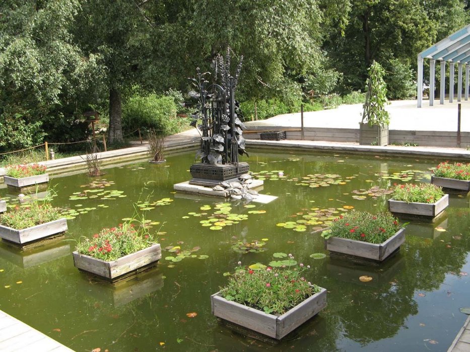 Водоем в Ботаническом саду в Москве