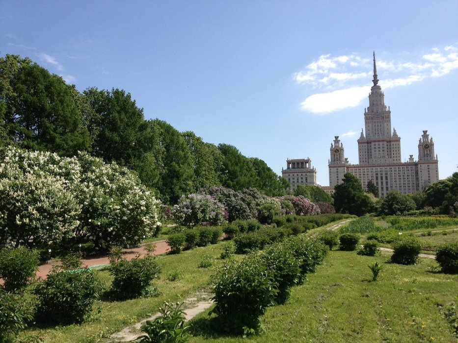 Живописный вид Ботанического сада в Москве