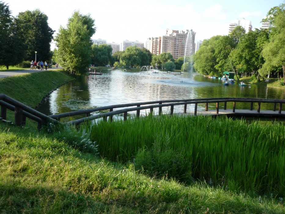 Удивительный пейзаж Воронцовского парка