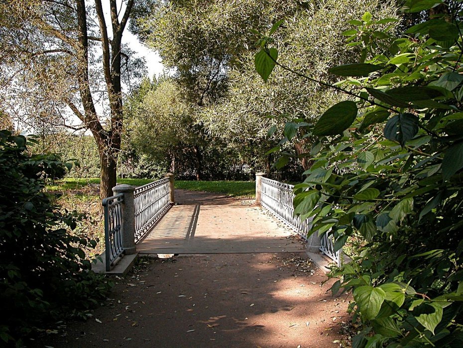 Мост в Таврическом саду