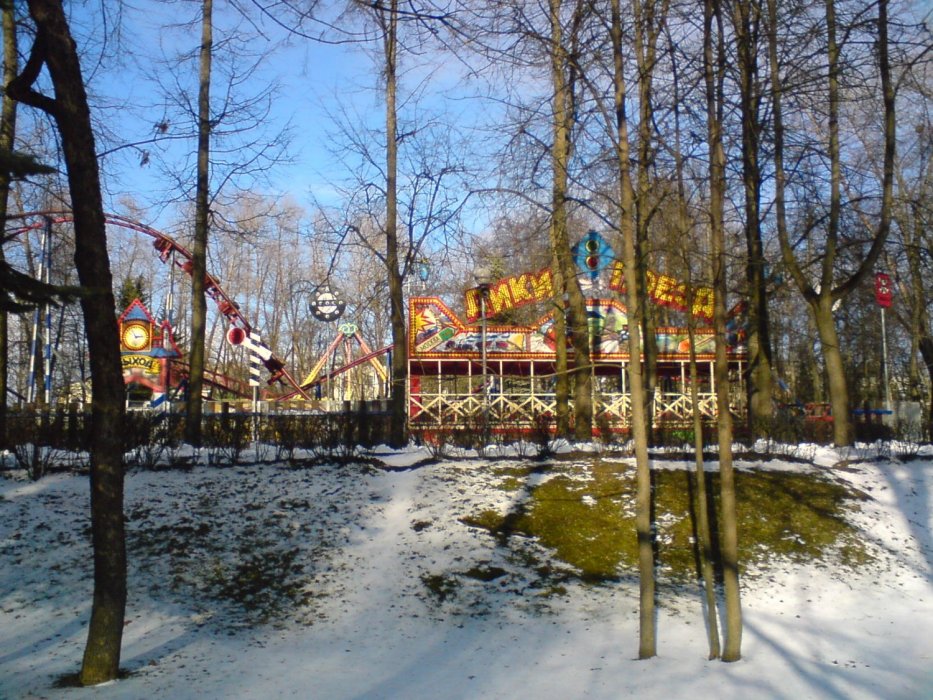 Парк Горького зимой