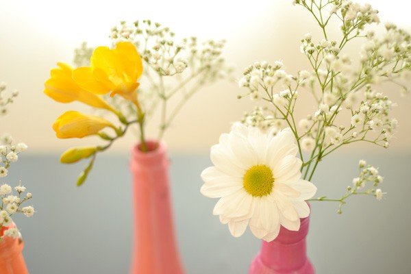 Красочные вазочки с цветами