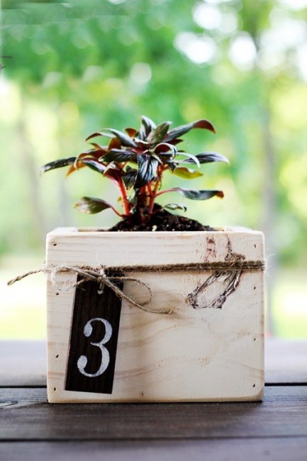 Деревянная коробочка с растениями как номер стола