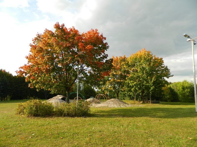 Осень в парке 60-летия Октября