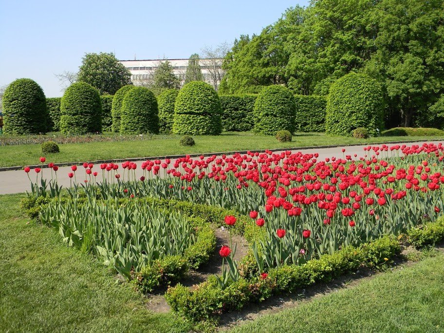 Удивительная красота в ботаническом саду в Киеве