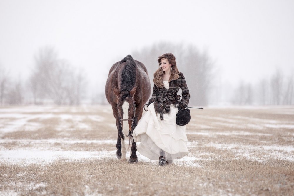 Зимняя невеста и лошадь