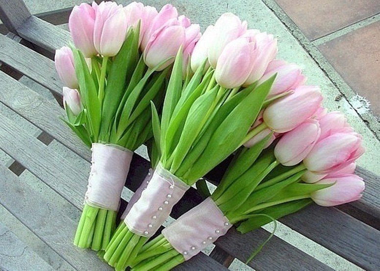 Букеты из нежно-розовых тюльпанов для подружек невесты