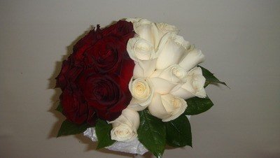 Красно-белые розы