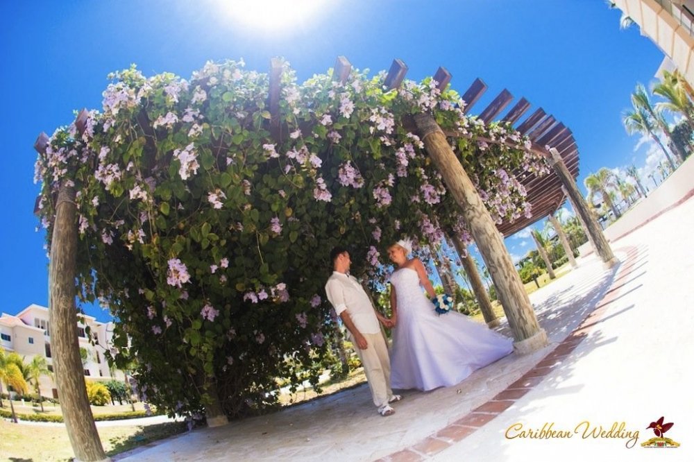 cap-cana-wedding-wedding-fotografer_22