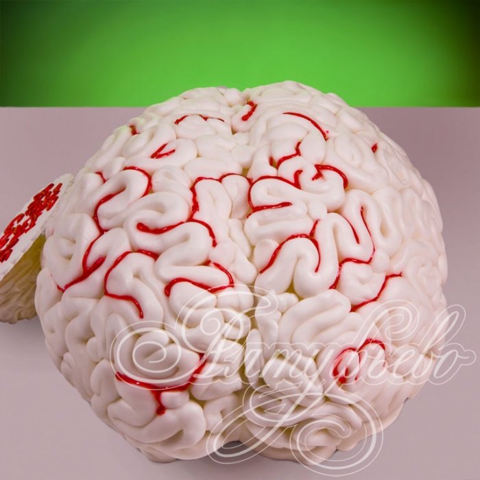 Торт мозг