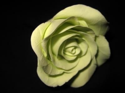шпилька салатовая роза