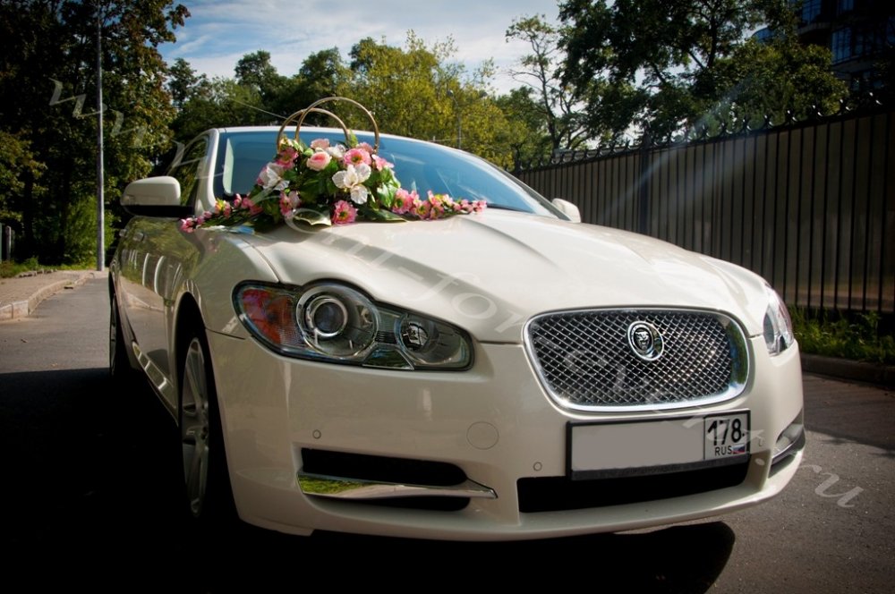 Jaguar XF white luxury в 