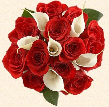 Букет невесты из красных роз и белоснежных калл Та
