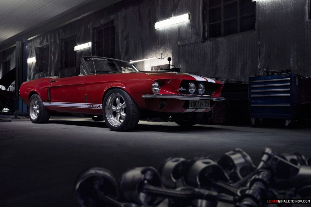 Shelby Mustang (2)
