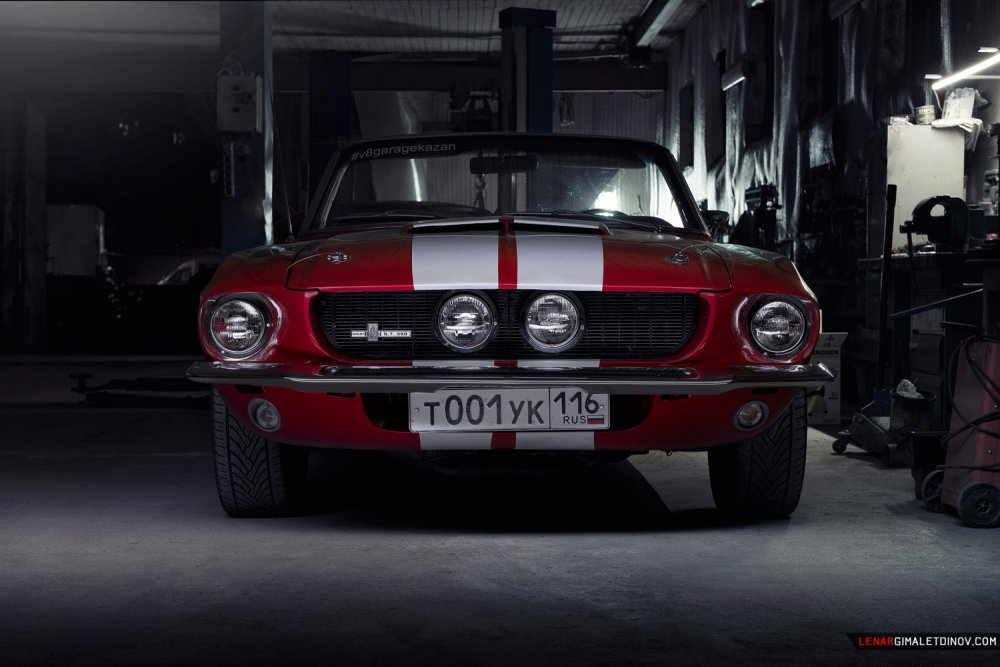 Shelby Mustang (4)